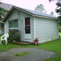 visit Primrose page