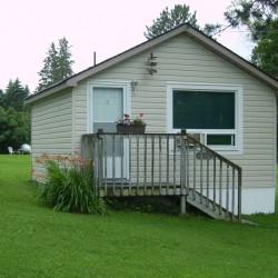 visit Pines page